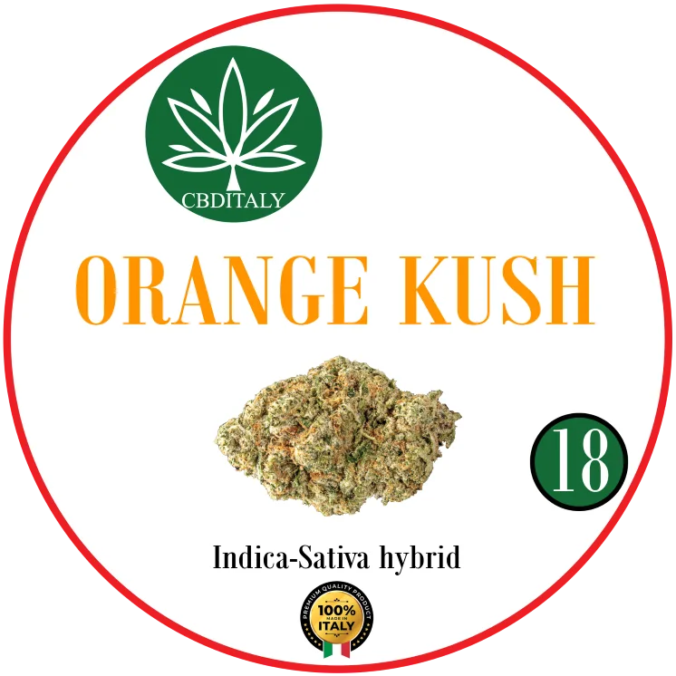 CBDITALY Orange Kush CBD 18% Indica-Sativa hybrid hemp flower bud, 100% Italy