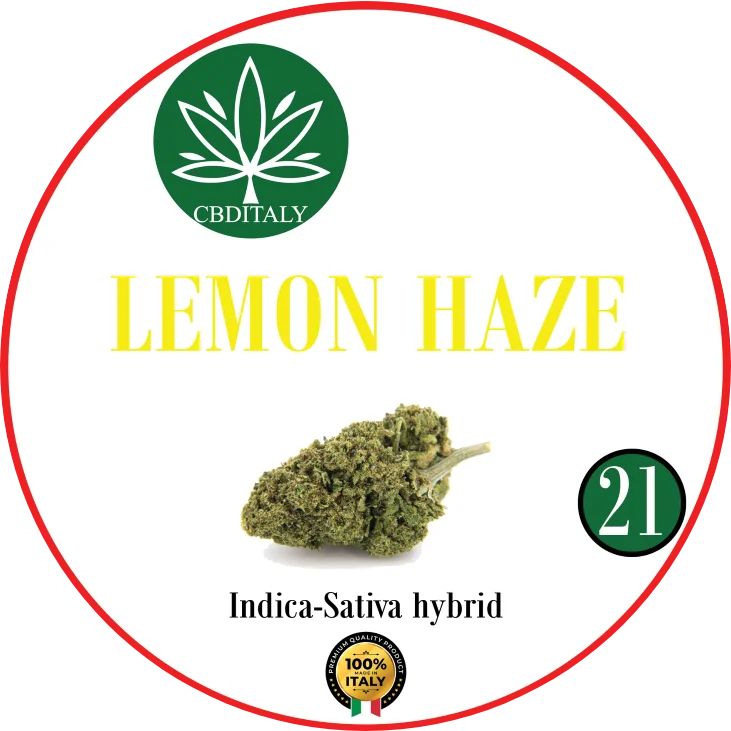 CBDITALY Lemon Haze CBD 21% Indica-Sativa hybrid hemp flower, premium made in Italy
