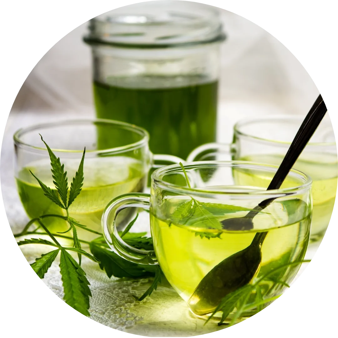 CBDITALY hemp tea served in glass cups with fresh hemp leaves and green herbal infusion