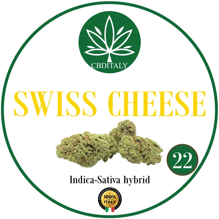 CBDITALY Swiss Cheese CBD 22% Indica-Sativa hybrid hemp flower bud, 100% Italy