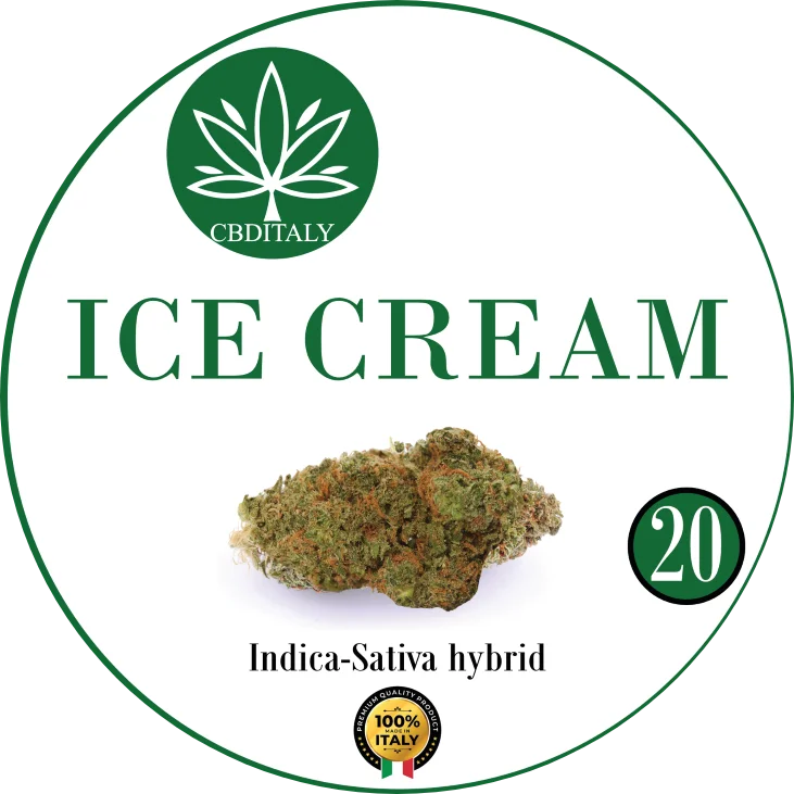 CBDITALY Ice Cream CBD 20% Indica-Sativa hybrid hemp flower bud, 100% Italy