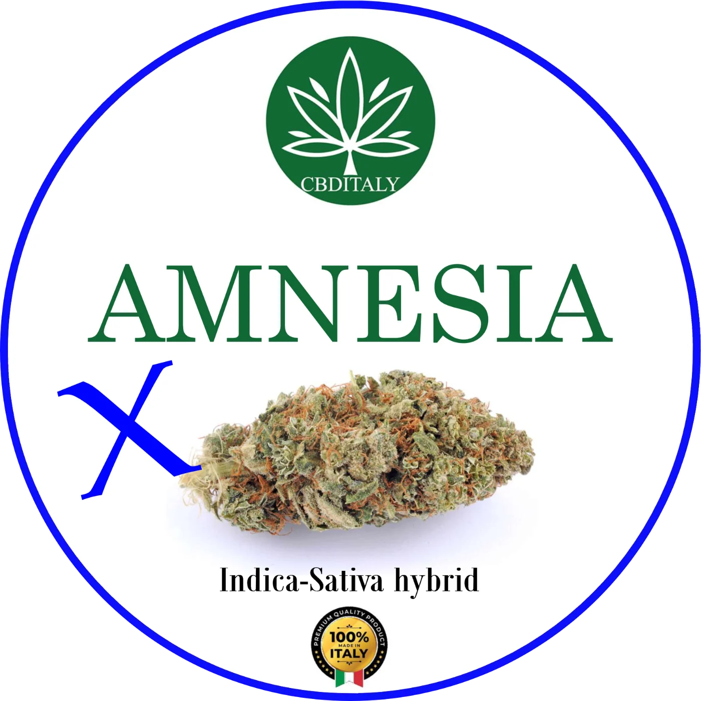 CBDITALY Amnesia CBD – elongated Indica-Sativa hybrid hemp flower with amber pistils, 100% Made in Italy