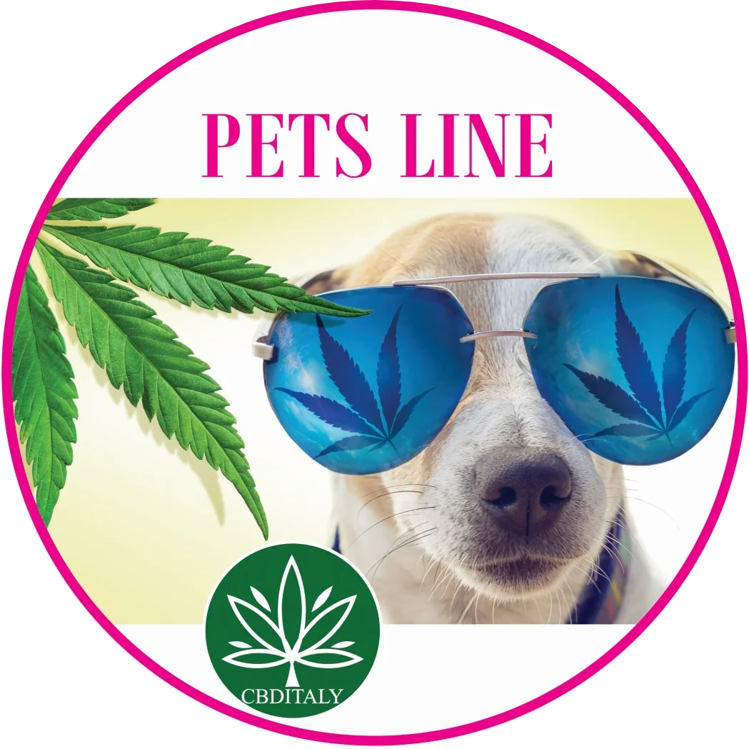 CBDITALY Pets Line category – dog wearing sunglasses with hemp leaf, CBD wellness supplements for pets